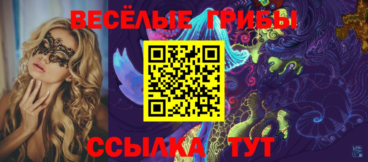 Псилоцибиновые грибы Psilocybine cubensis Мыски